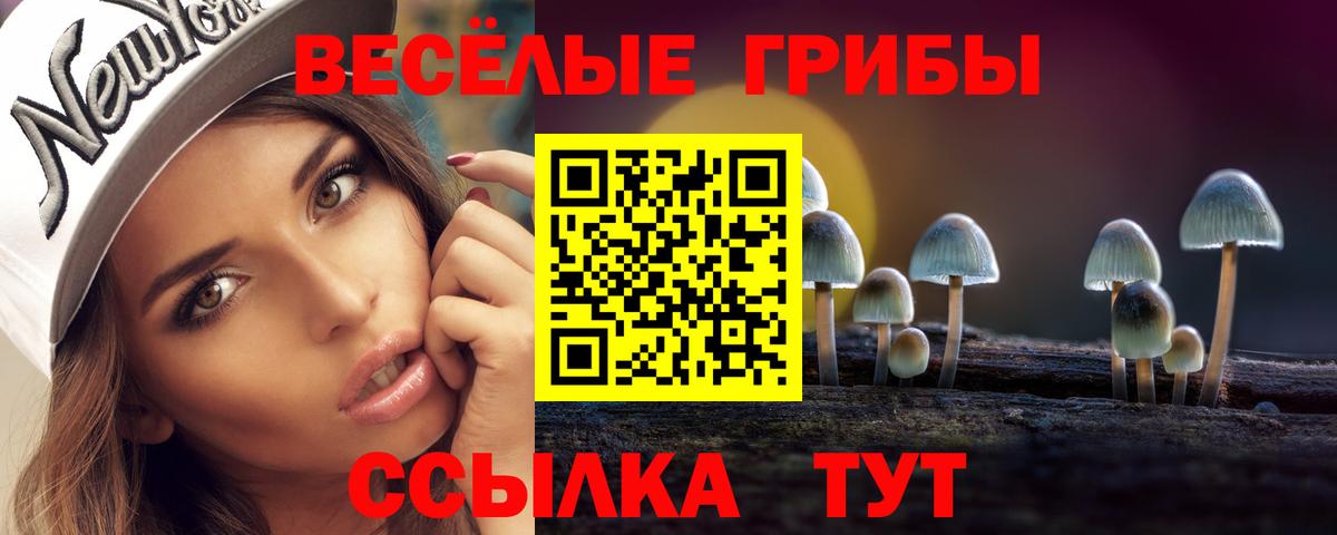 Кодеин Нарткала