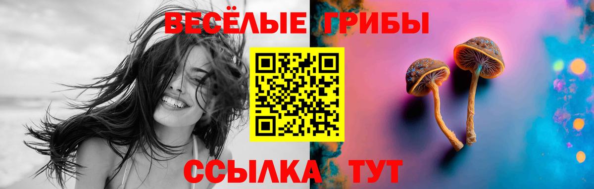 Галлюциногенные грибы прущие грибы  Вход с VPN  Галлюциногенные грибы Cubensis  Нарткала 